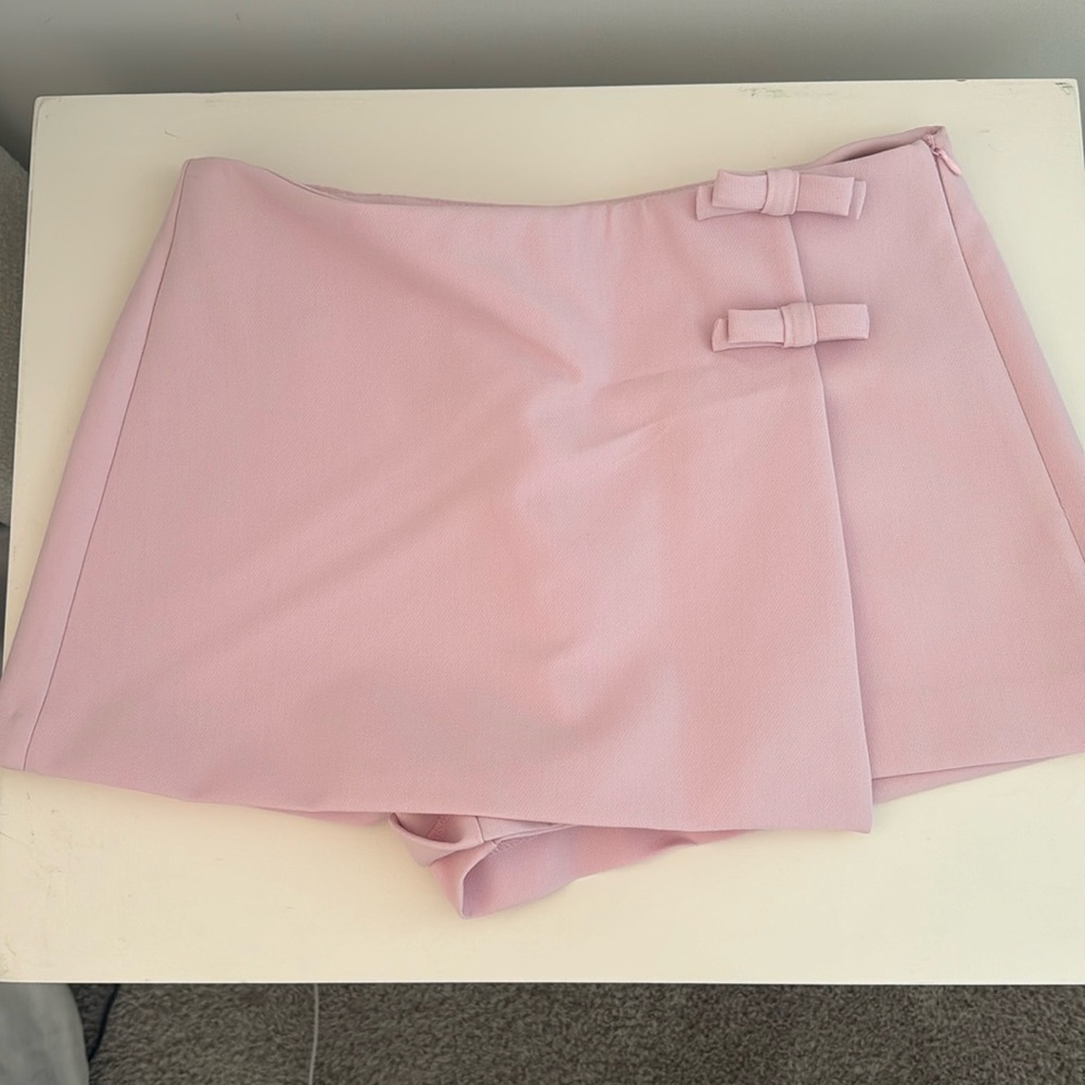 NWT Zara Skirt